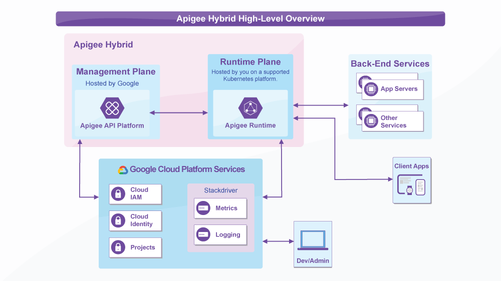 Infographic-4