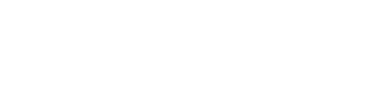Fiontec
